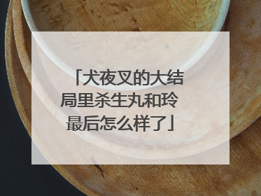 犬夜叉的大结局里杀生丸和玲最后怎么样了