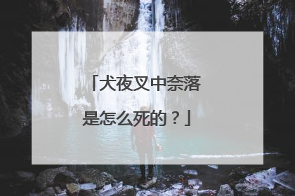 犬夜叉中奈落是怎么死的?