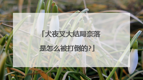 犬夜叉大结局奈落是怎么被打倒的?