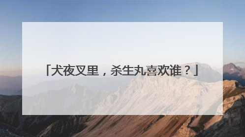 犬夜叉里，杀生丸喜欢谁？