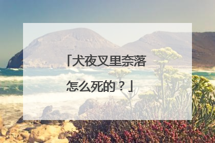 犬夜叉里奈落怎么死的？