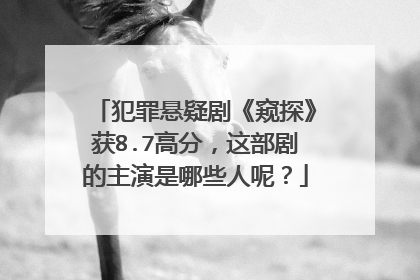 犯罪悬疑剧《窥探》获8.7高分,这部剧的主演是哪些人呢?