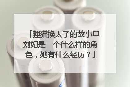狸猫换太子的故事里刘妃是一个什么样的角色，她有什么经历？