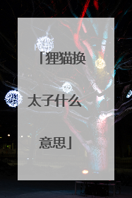 狸猫换太子什么意思