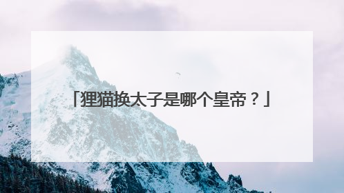 狸猫换太子是哪个皇帝？