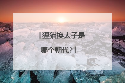 狸猫换太子是哪个朝代?