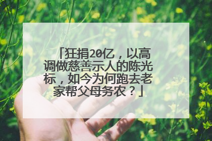 狂捐20亿,以高调做慈善示人的陈光标,如今为何跑去老家帮父母务农?