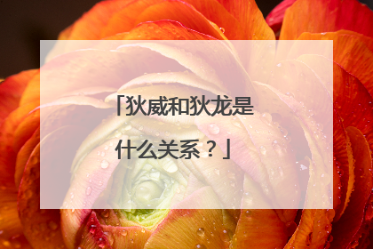 狄威和狄龙是什么关系？