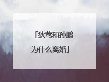 狄莺和孙鹏为什么离婚