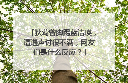 狄莺曾脚踢蓝洁瑛，遭遇声讨很不满，网友们是什么反应？