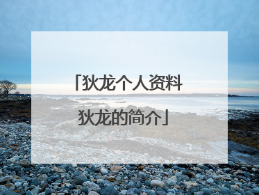 狄龙个人资料 狄龙的简介