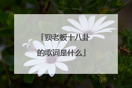 狈老板十八卦的歌词是什么