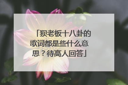 狈老板十八卦的歌词都是些什么意思?待高人回答