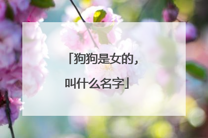 狗狗是女的,叫什么名字