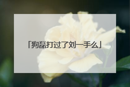 狗磊打过了刘一手么
