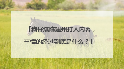 狗仔爆陈建州打人内幕，事情的经过到底是什么？