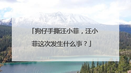 狗仔手撕汪小菲,汪小菲这次发生什么事?