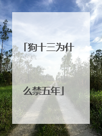 狗十三为什么禁五年
