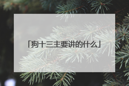 狗十三主要讲的什么