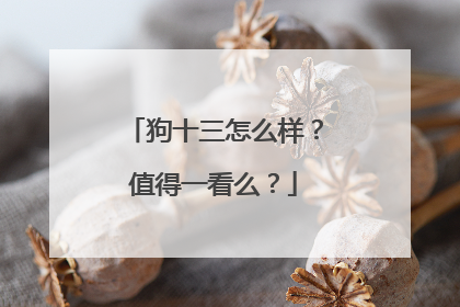 狗十三怎么样?值得一看么?