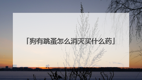 狗有跳蚤怎么消灭买什么药
