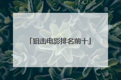 狙击电影排名前十