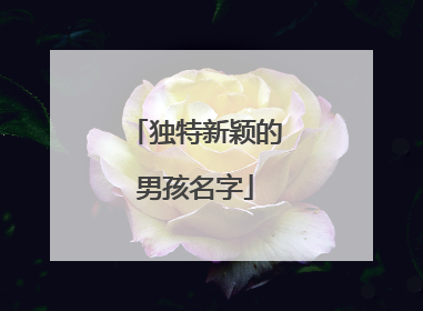 独特新颖的男孩名字