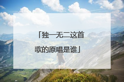 独一无二这首歌的原唱是谁