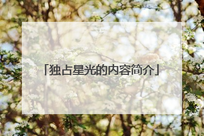 独占星光的内容简介