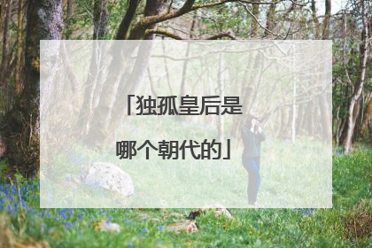 独孤皇后是哪个朝代的