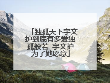 独孤天下宇文护到底有多爱独孤般若 宇文护为了她愿意