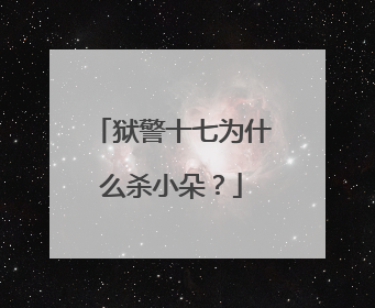 狱警十七为什么杀小朵？