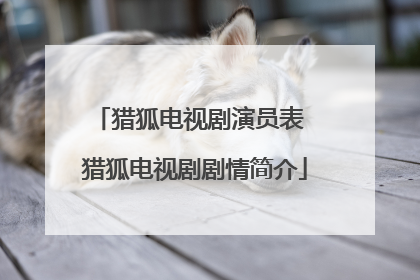 猎狐电视剧演员表 猎狐电视剧剧情简介