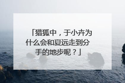 猎狐中，于小卉为什么会和夏远走到分手的地步呢？