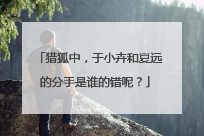 猎狐中，于小卉和夏远的分手是谁的错呢？