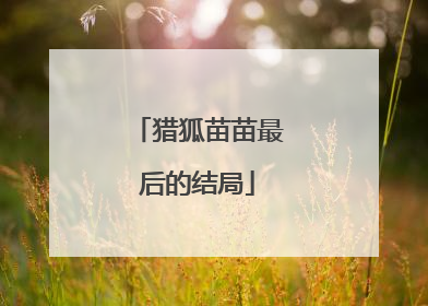 猎狐苗苗最后的结局