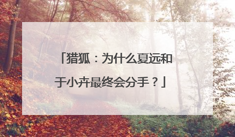 猎狐：为什么夏远和于小卉最终会分手？