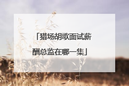 猎场胡歌面试薪酬总监在哪一集