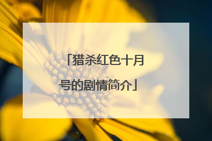 猎杀红色十月号的剧情简介