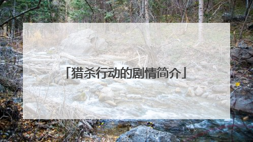 猎杀行动的剧情简介