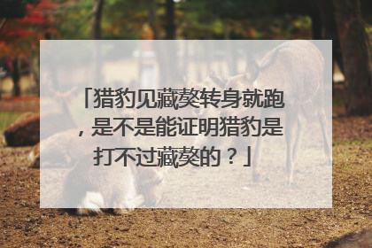 猎豹见藏獒转身就跑，是不是能证明猎豹是打不过藏獒的？