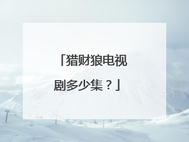 猎财狼电视剧多少集？