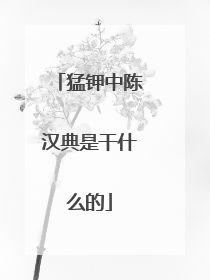 猛钾中陈汉典是干什么的