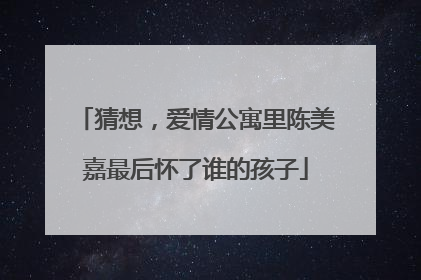 猜想,爱情公寓里陈美嘉最后怀了谁的孩子