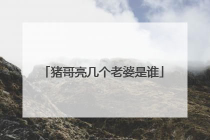 猪哥亮几个老婆是谁