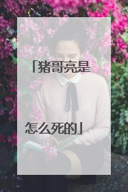 猪哥亮是怎么死的