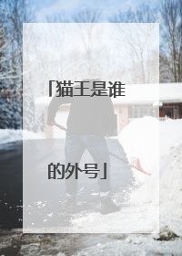 猫王是谁的外号