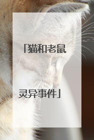 猫和老鼠灵异事件