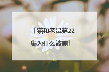 猫和老鼠第22集为什么被删