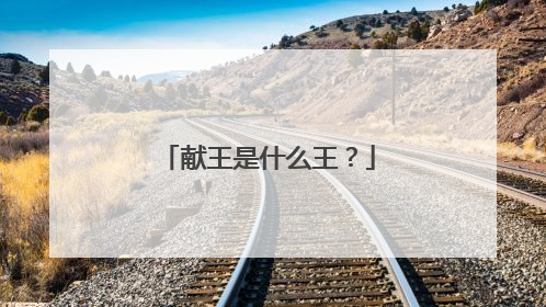 献王是什么王？